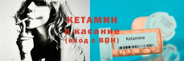 прущие грибы Магадан