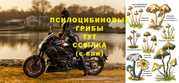 a pvp Магас