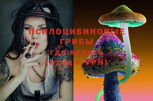 прущий лед Михайловка