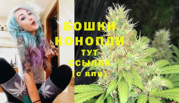 прущий лед Михайлов