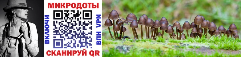 блэк спрут ONION  Кулебаки  Галлюциногенные грибы Magic Shrooms 