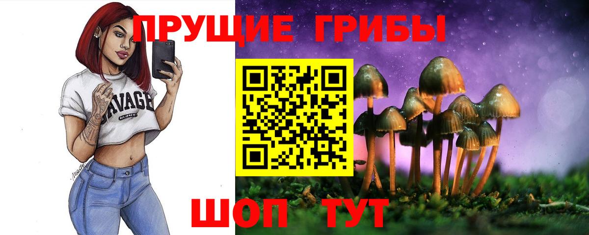 Псилоцибиновые грибы прущие грибы  Псилоцибиновые грибы Psilocybe  Кулебаки  Вход с VPN 
