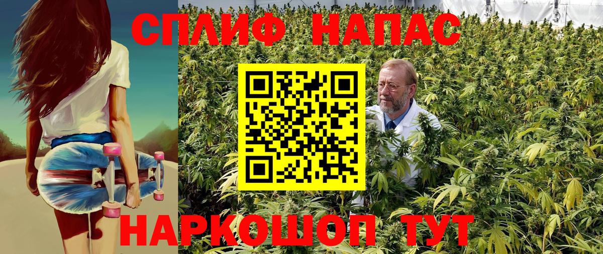 Канабис гибрид  Конопля SATIVA & INDICA  Канабис планчик  Кулебаки  Вход с VPN 